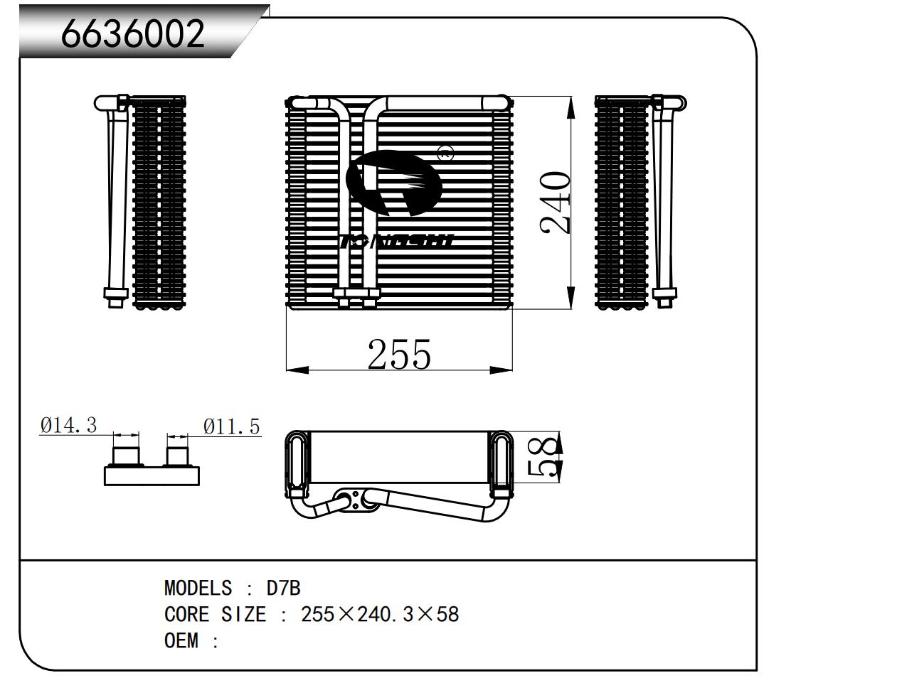 6636002.jpg