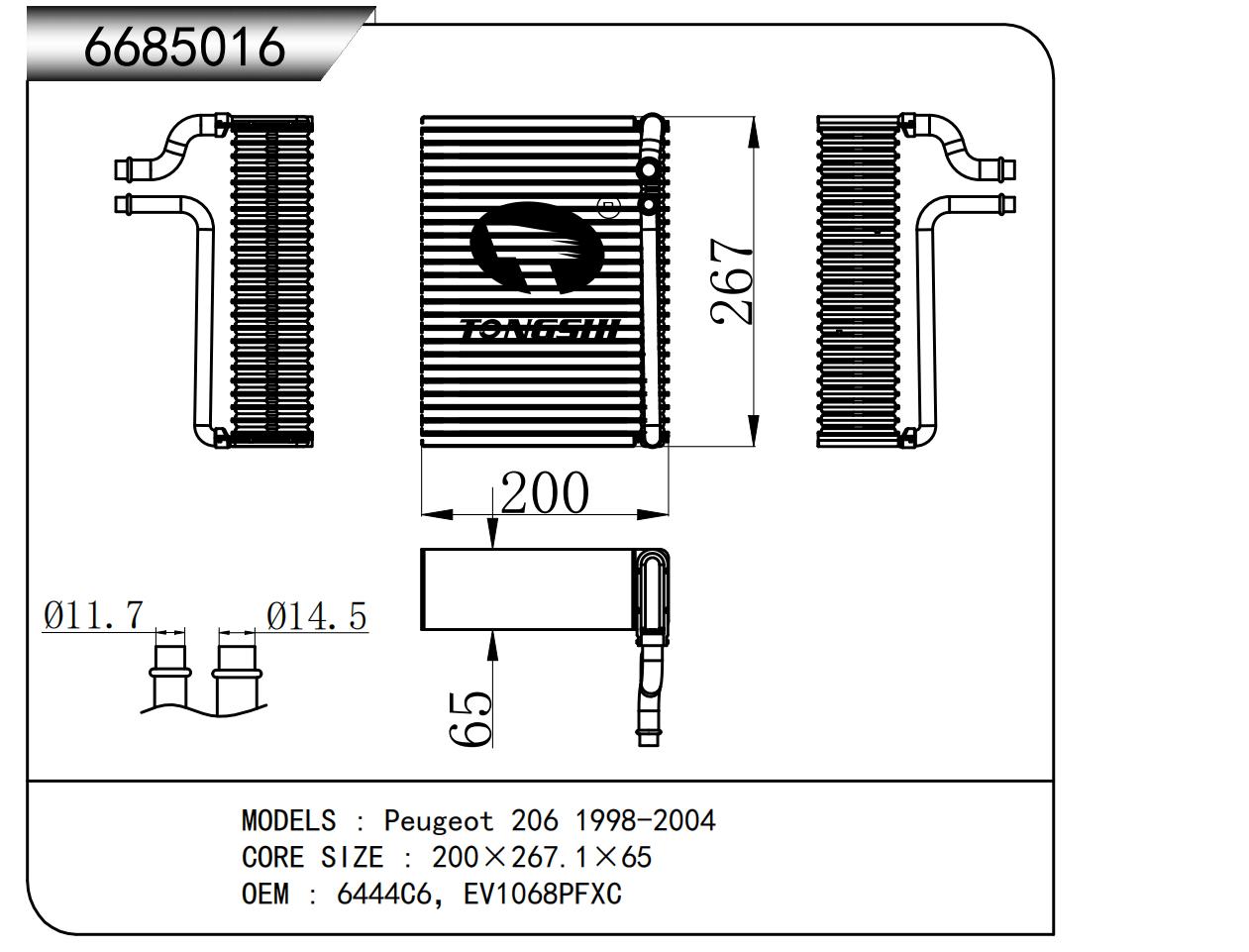 6685016.jpg