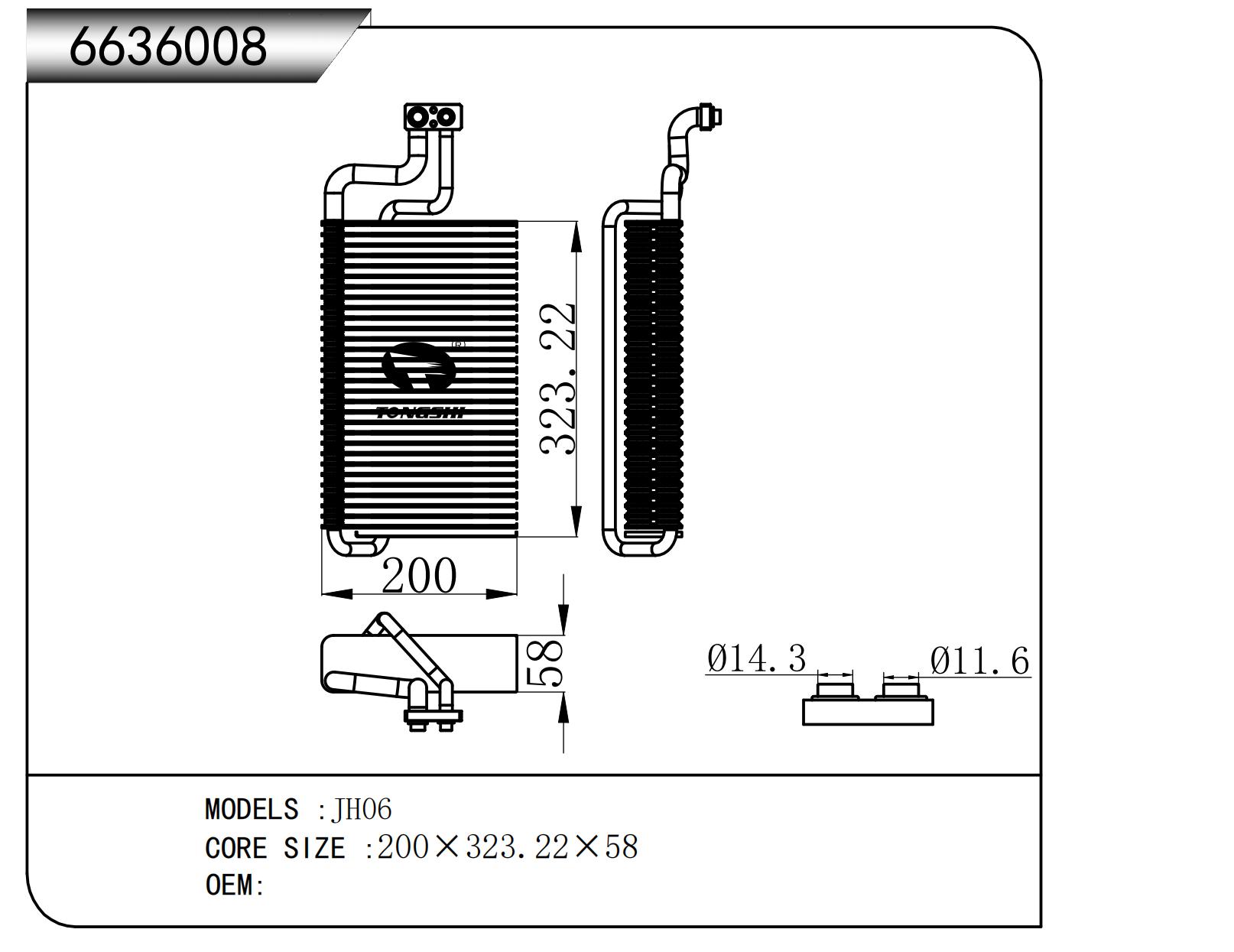 6636008.jpg