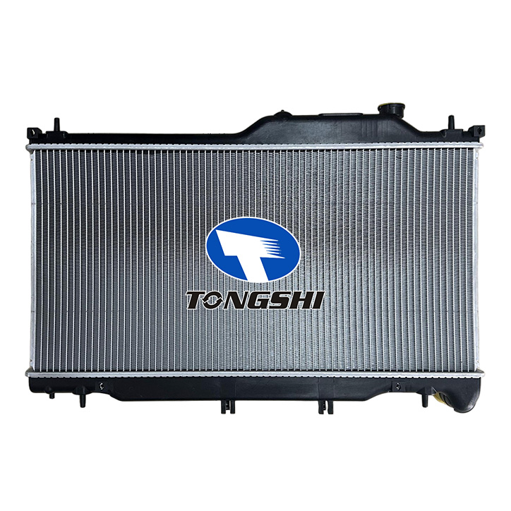 04.jpg