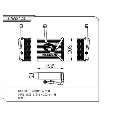 適用于 吉利06 自由艦 蒸發(fā)器