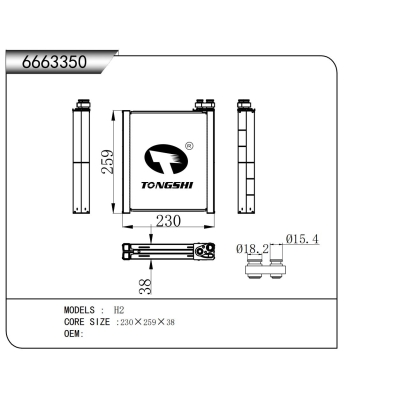 適用于  H2  蒸發(fā)器