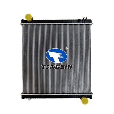 適用于CHINESE?CAR?EUROCARGO（依維柯）??I-III?散熱器