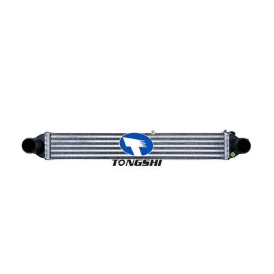 適用于 NEMO Box (AA_) 08- FIORINO Box Body/ Estate (225) 07- BIPPER (AA_) 08- 中冷器