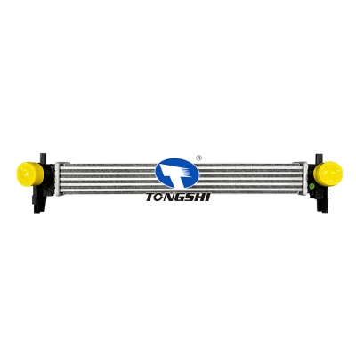 適用于???奧迪?A1(8X1,8XF)1.6?TDI?11-/VW?POLO?1.2,?1.6?TDI??中冷器